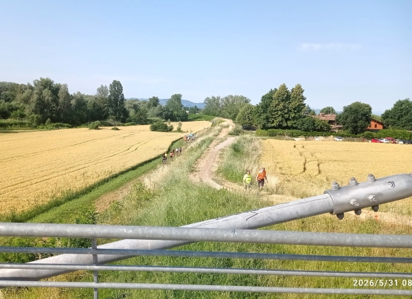 Il mese che ci ha rimesso in cammino: storie, numeri e volti del podismo bolognese