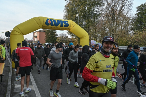 A Minerbio oltre mille runner alla “5 Fossi Sherwin-Williams” : prima domenica di dicembre &quot;Trofeo Conad Via Larga&quot;